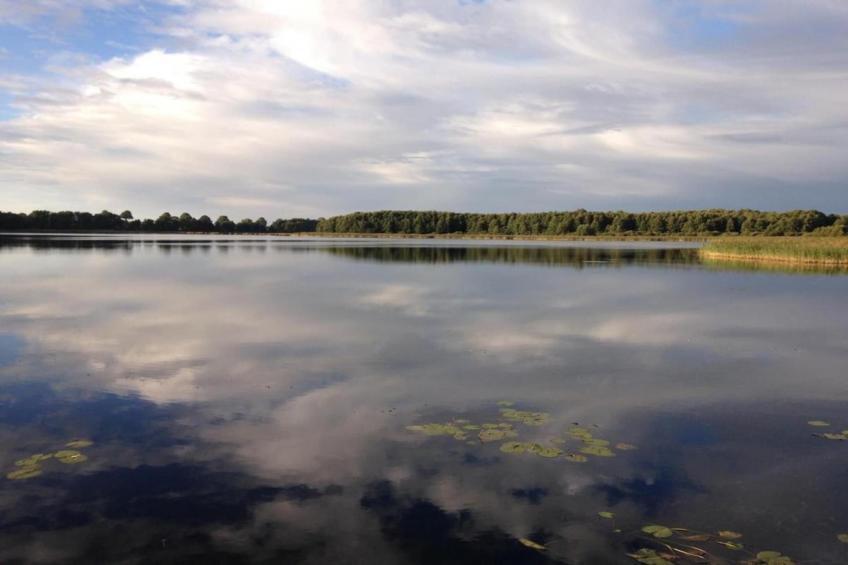 Im Grünen 1 - foto 30