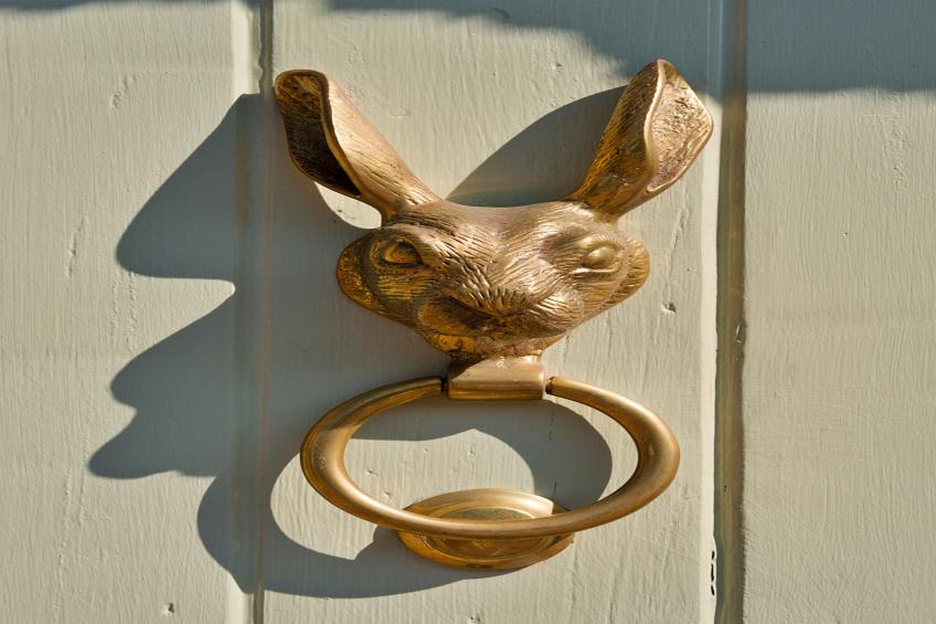 Fox and Hare - foto 44