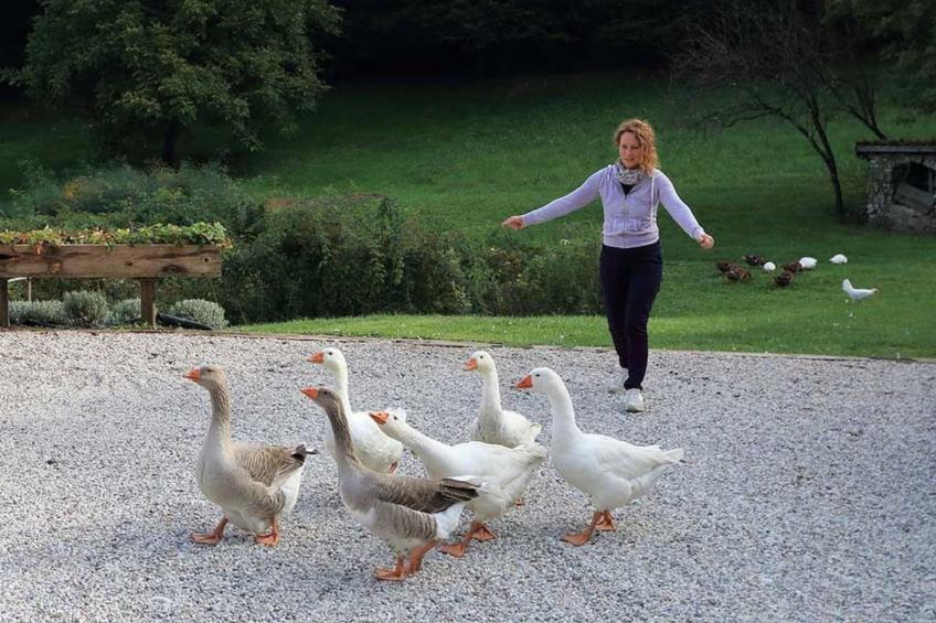 Duck's Cottage für einen Dolomitenurlaub - foto 28