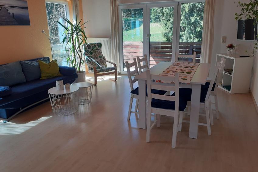 für 6 Personen im Thüringer Wald - foto 6