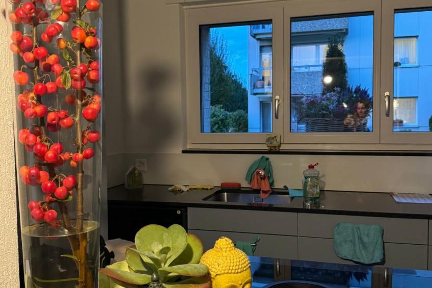 Silent Escape - foto 21