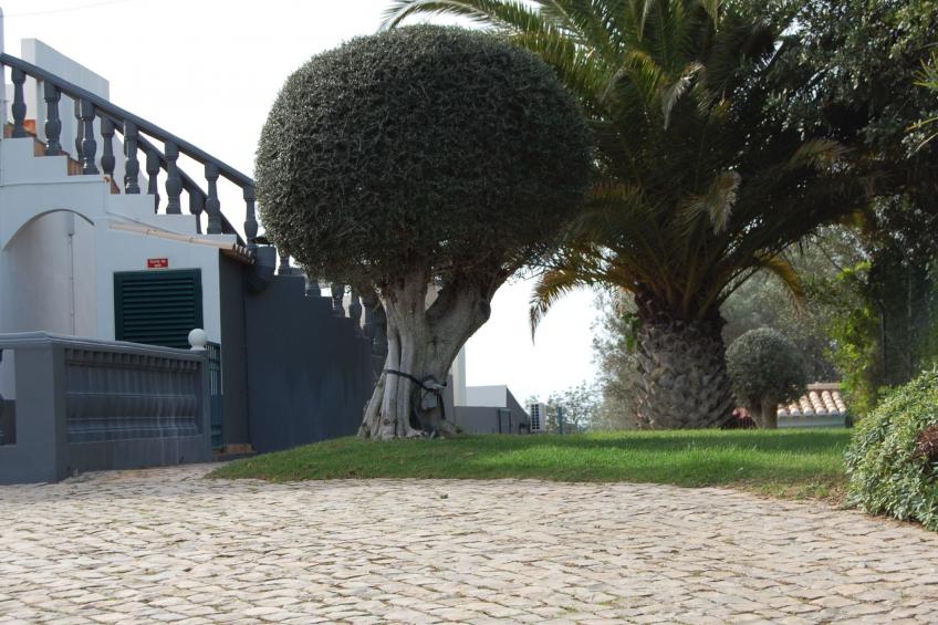 Villa Monte Alegrete - foto 12