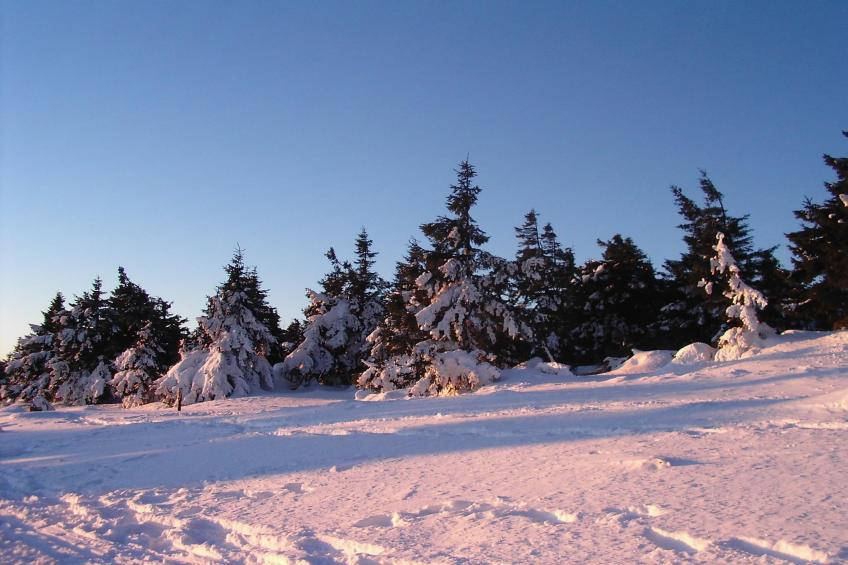 Ferienhaus Rosi - foto 33