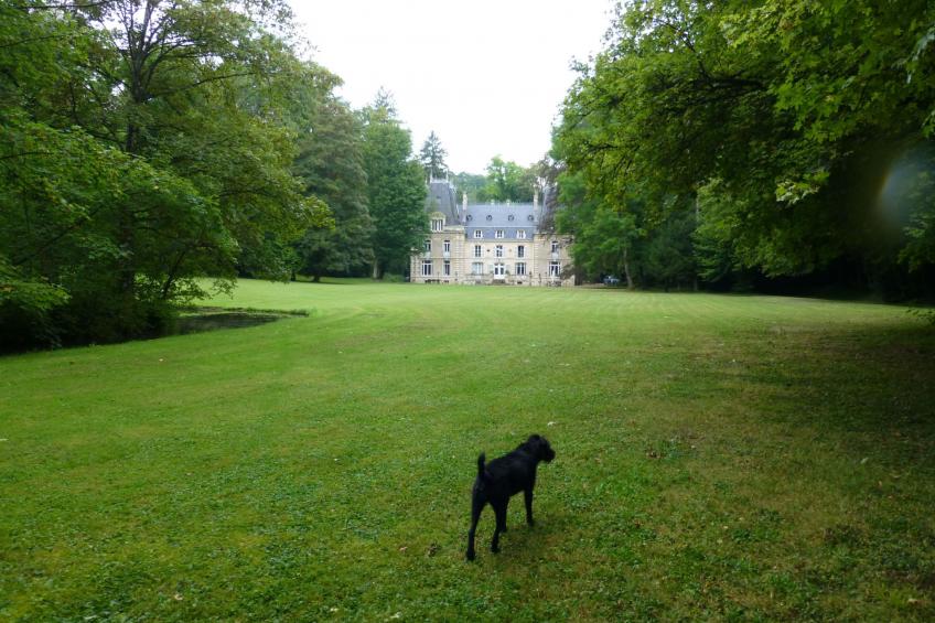 in Nantois mit Privatem Pool - foto 10