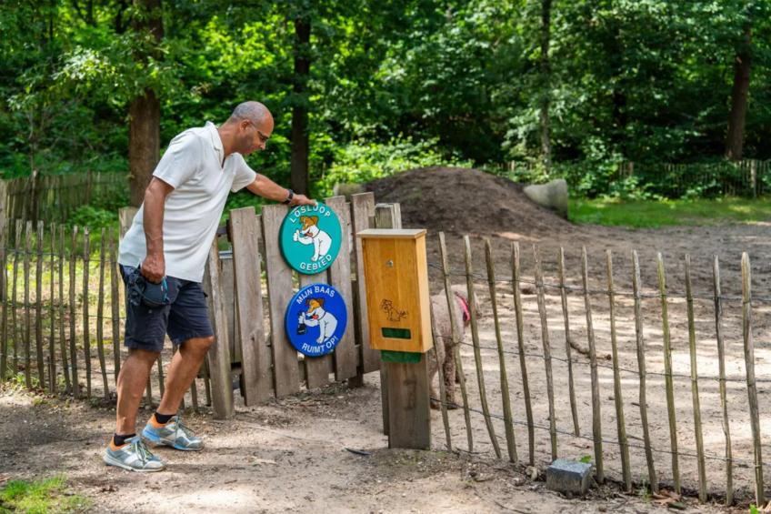 Veluwe lodge 4 people - foto 17
