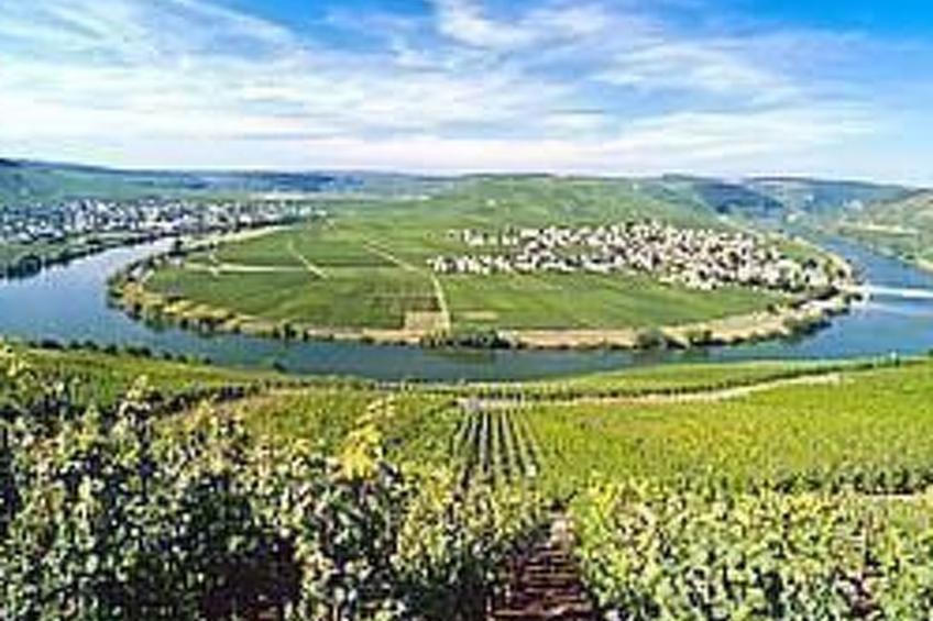 Gesamte Wohnung in Pommern - foto 19