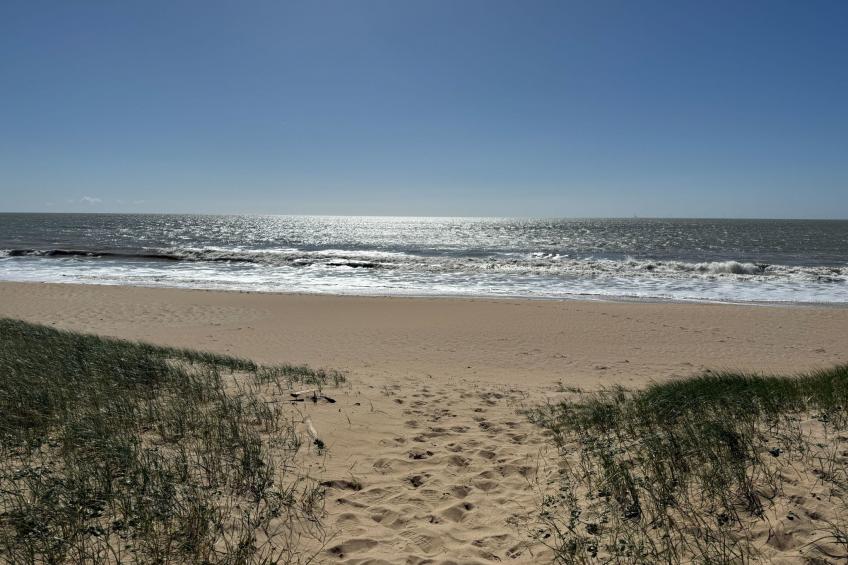 Maison de charme Les Yuccas - foto 18