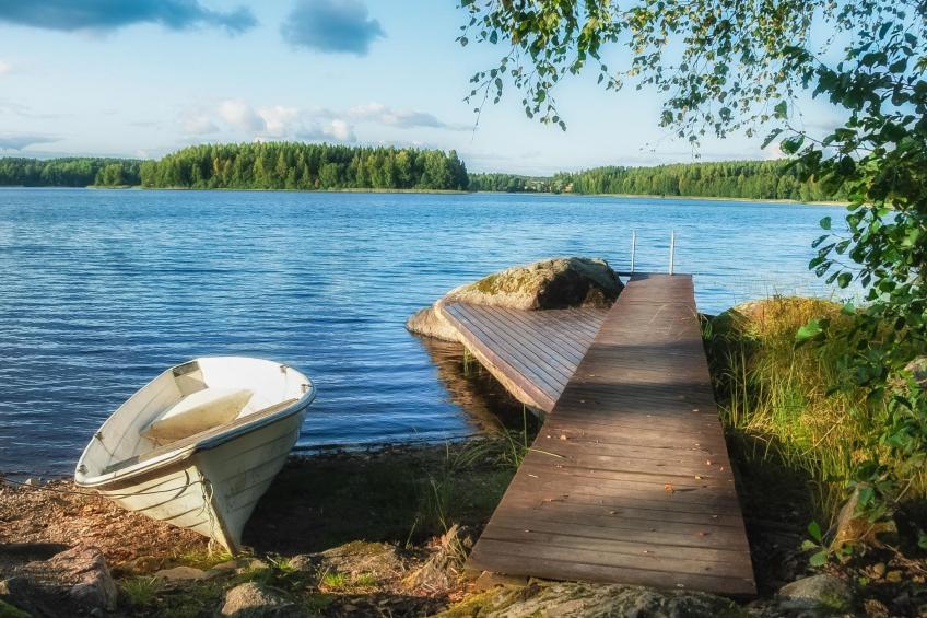 Kalliokoivu - foto 3