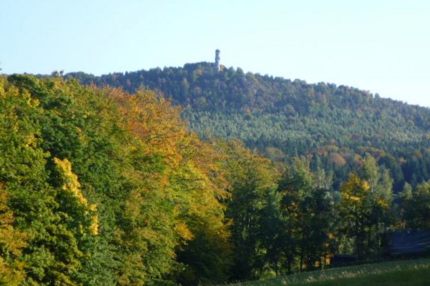 Studio-Appartement mit Bergblick - foto 19