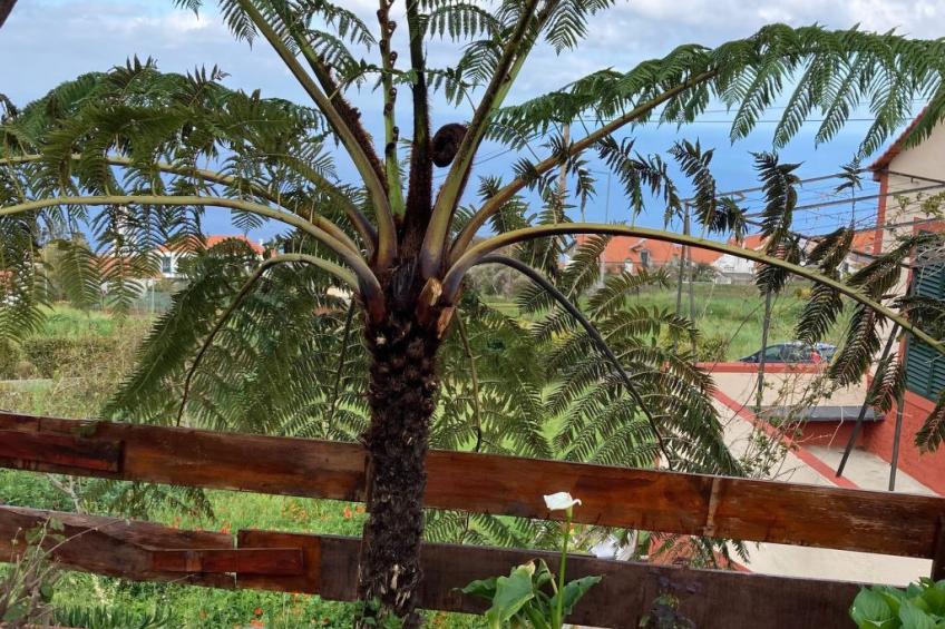 Klein-Norwegen - foto 21