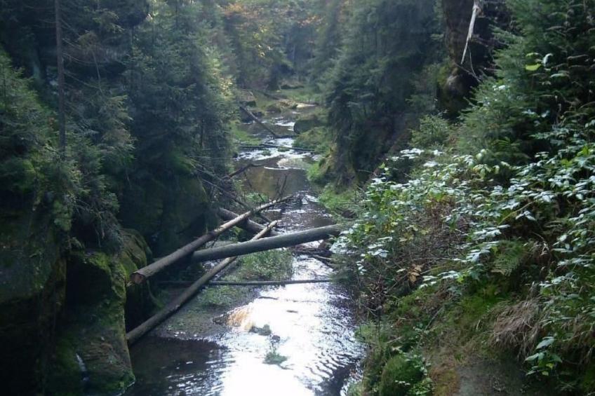 Ferienwohznung Huhle - foto 32