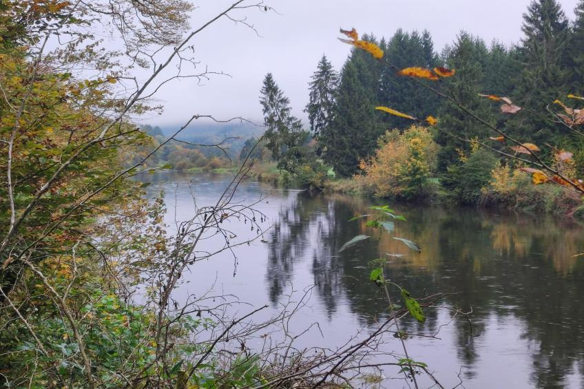 Au Coeur d'Alle Single Room - foto 31