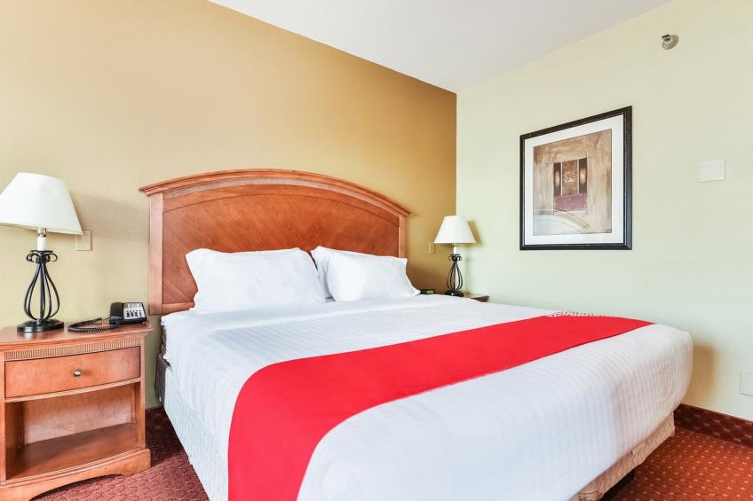 1 Bedroom Suite - foto 17