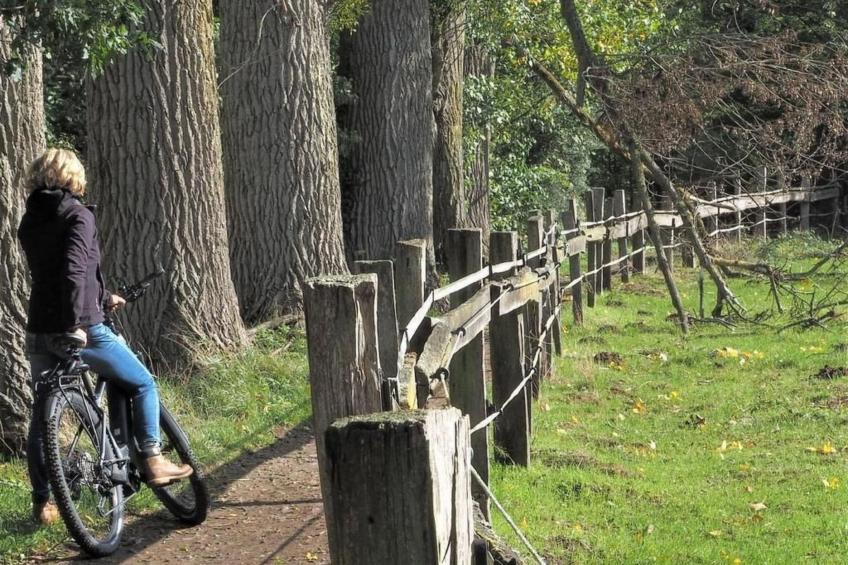 Exklusives Ferienhaus mit Terrasse und Garten - foto 30