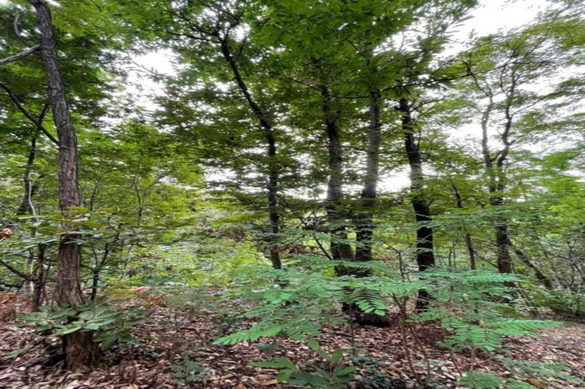 Le Do None Tre - foto 24