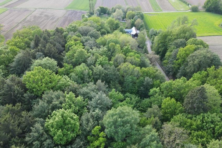 Idyllisch am Waldrand gelegene Ferienwohnung - foto 14