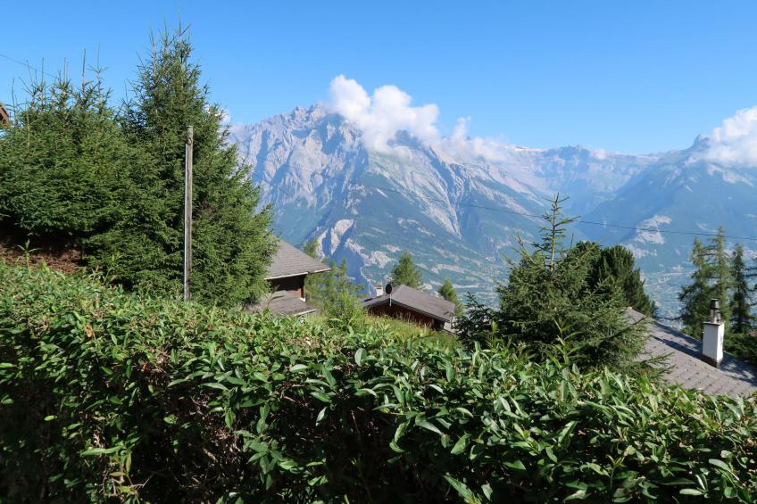 Dorine - foto 26