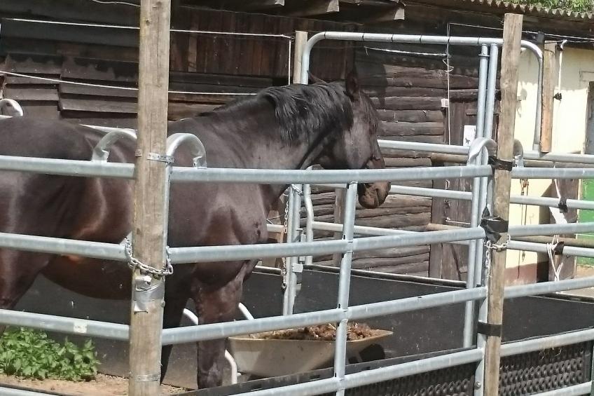 Apartment Laurence - foto 30