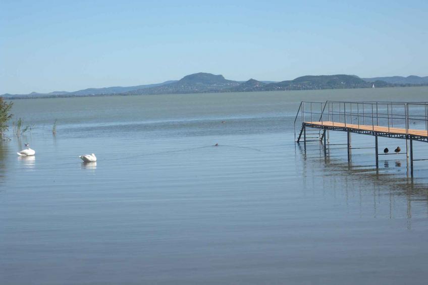 FerienHaus nur 180 m vom Strand - BF-TJ97 - foto 15