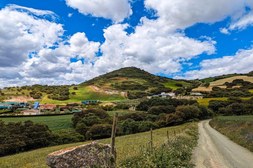 Finca las Chozas - foto 27