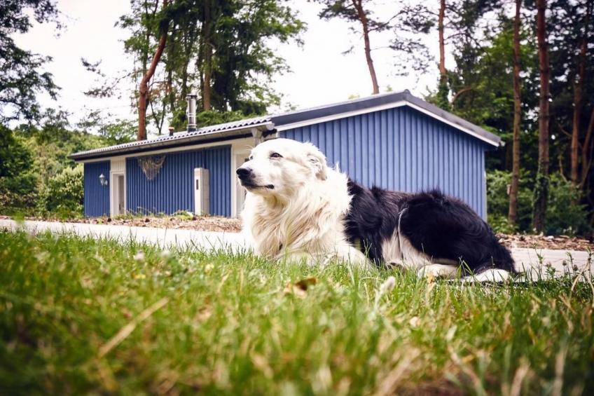 Waldhäuser - foto 6