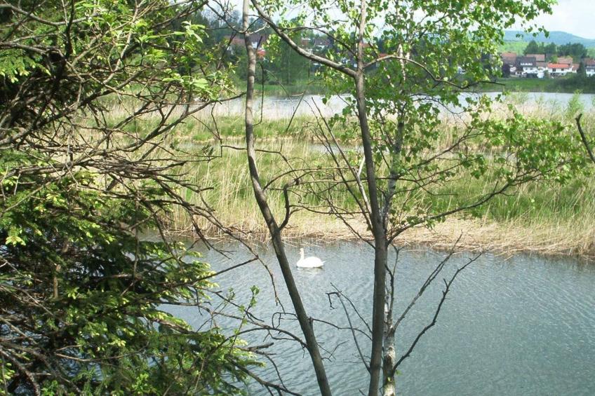 Fewo Stricker 23 - foto 21