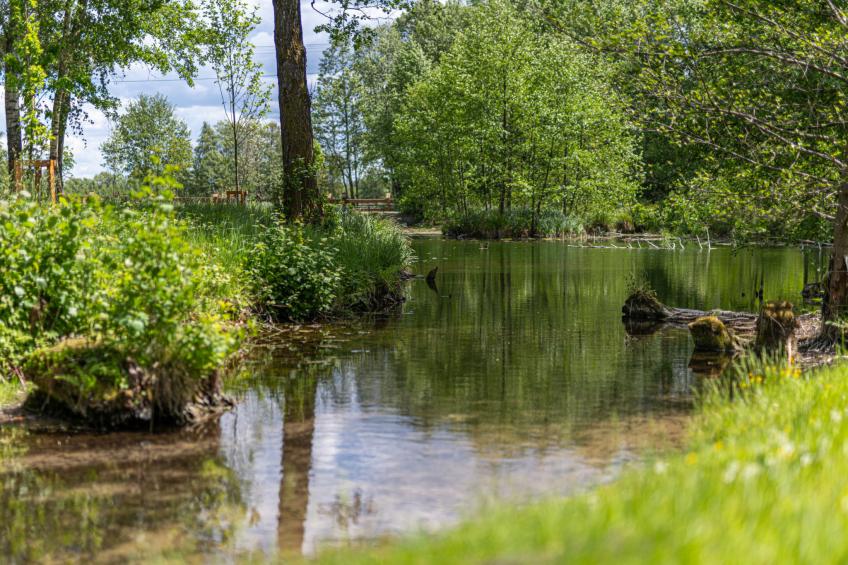Zatylówka - foto 45