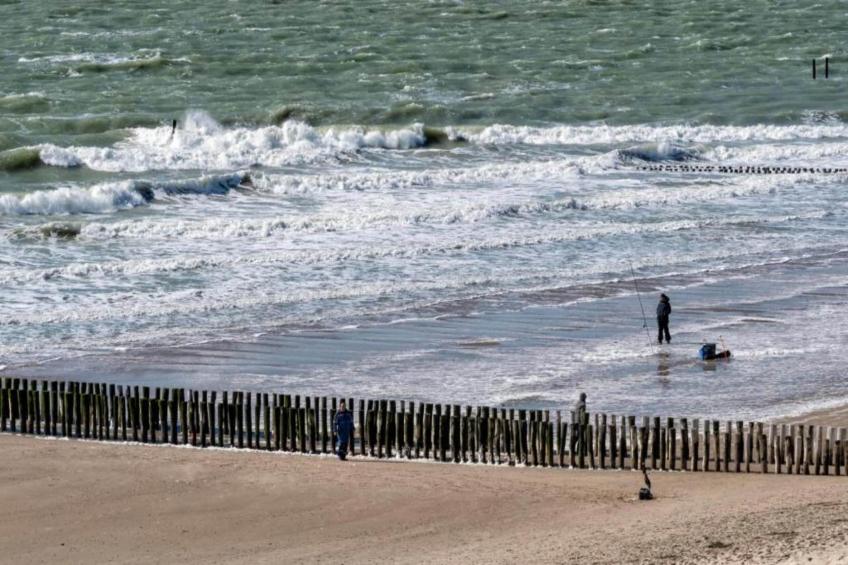 Aparthotel Zoutelande - 4 pers luxe appartement huisdieren - foto 23