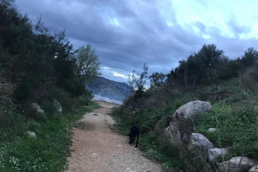 Villa SOL 32 - foto 49