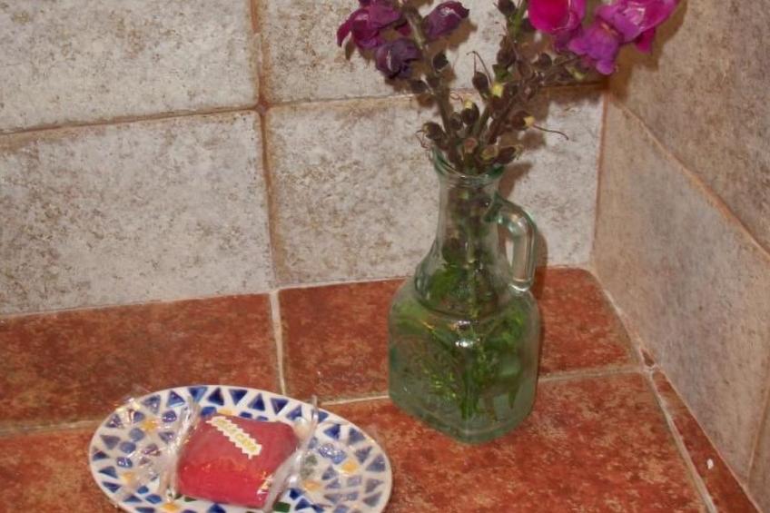 Typisches, renoviertes kanarisches Landhaus - foto 30