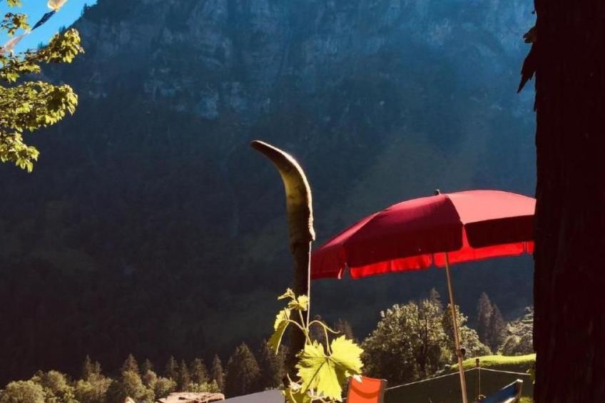 Rietberg 8 Braunwald - foto 11