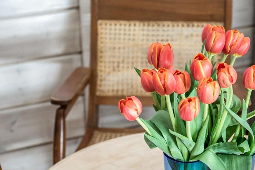 Tervaharju - foto 11