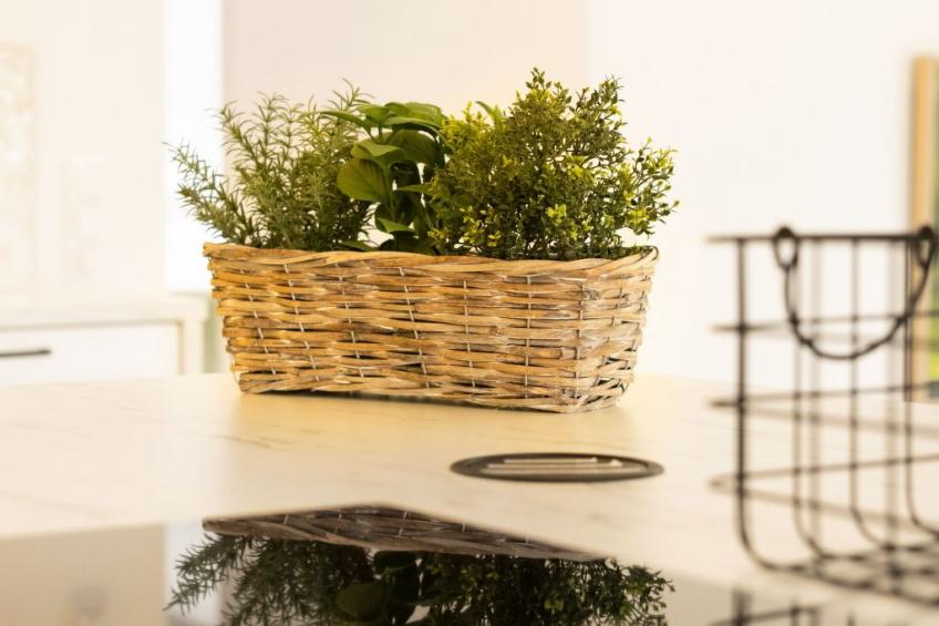 The Forest Retreat - foto 29