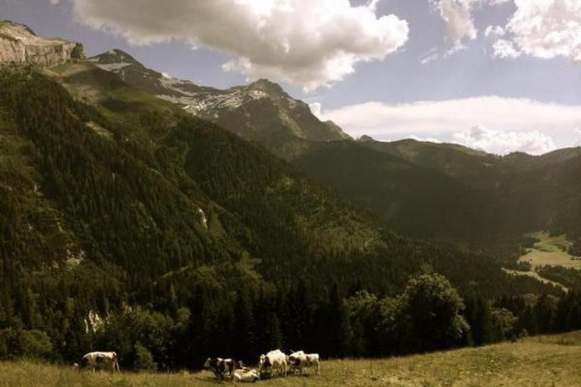 Authentisches Schweizer Alpenchalet aus dem 18. Jh. - foto 27