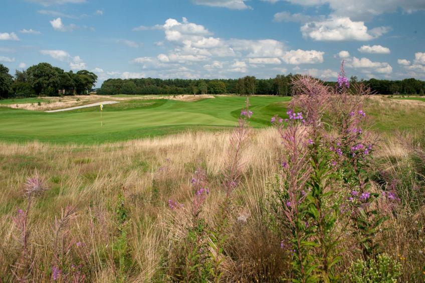 Betonnen Boshuis - foto 34