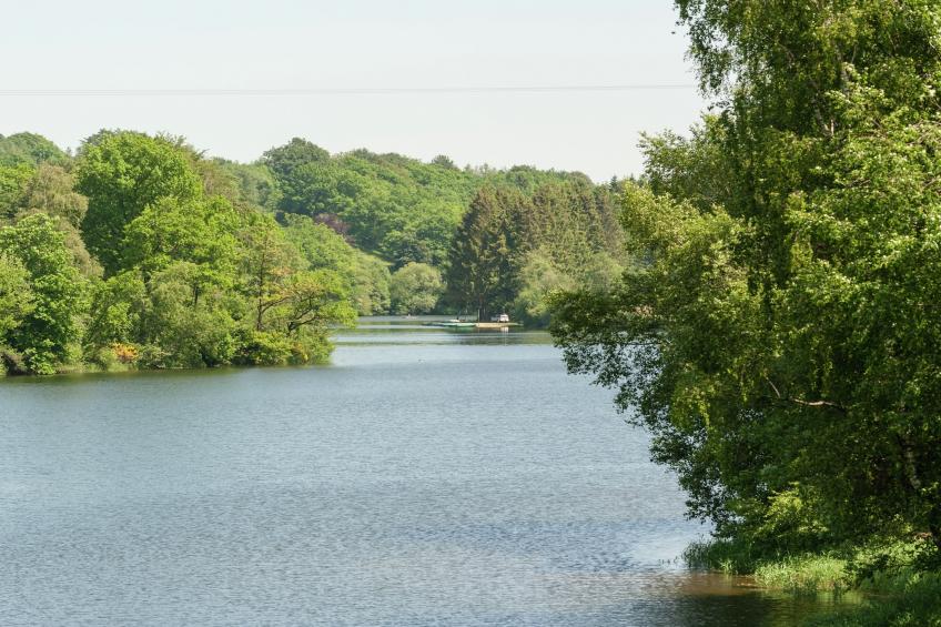Le Jardin des Eaux - foto 32