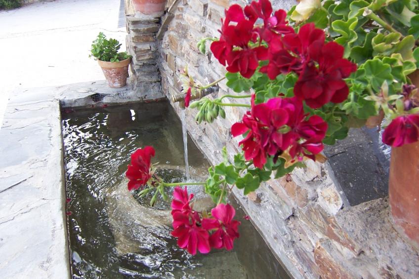 Landhaus mit zwei Schlafzimmern in La Alpujarra - foto 26