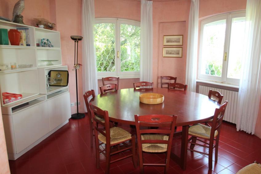 Palomar - foto 10