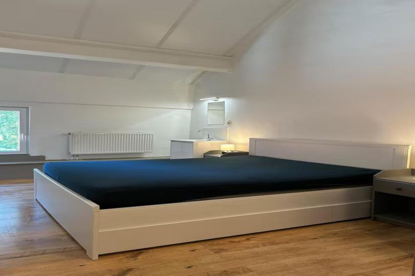 L'Ecureuil Blanc - foto 5