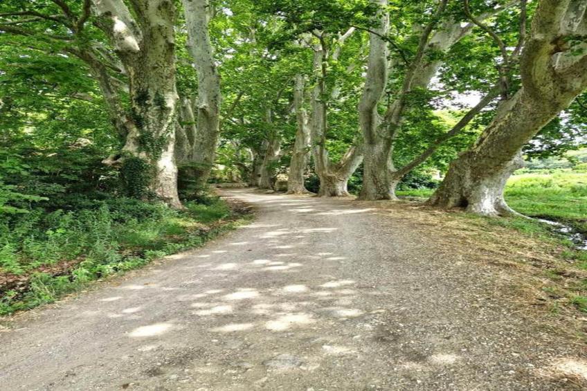 Résidence Le Mas des Alpilles - foto 29