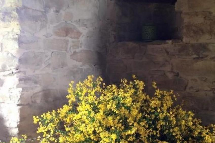 Piccola casa romantica - foto 22