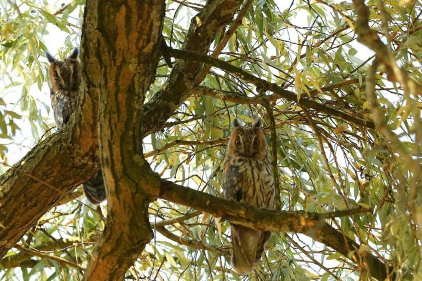 77707 - foto 26