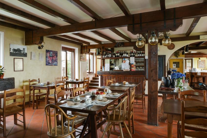 Rododendro - foto 28