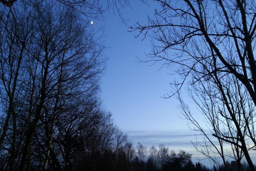 Finnisches Holzhaus - foto 43