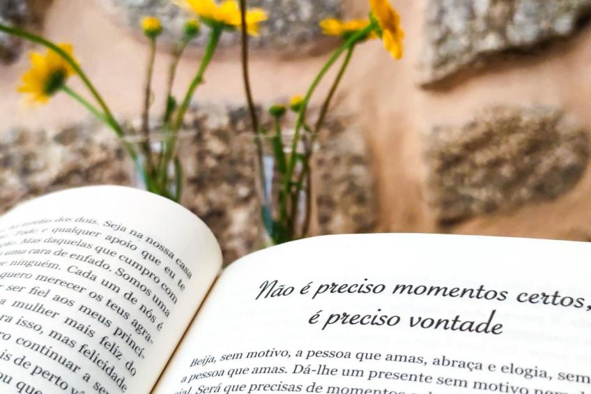 Flusshaus - Casas do Rio Tora - foto 29