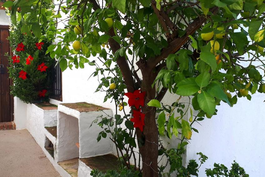 Casa la Solana - foto 7