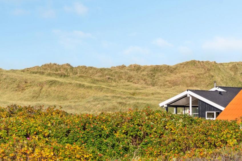 "Marissa" - 200m from the sea in NW Jutland - foto 24