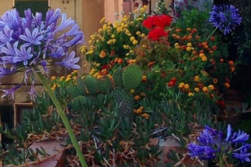 mit Wasserblick - foto 20