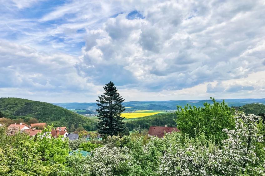 Hillside View - foto 19