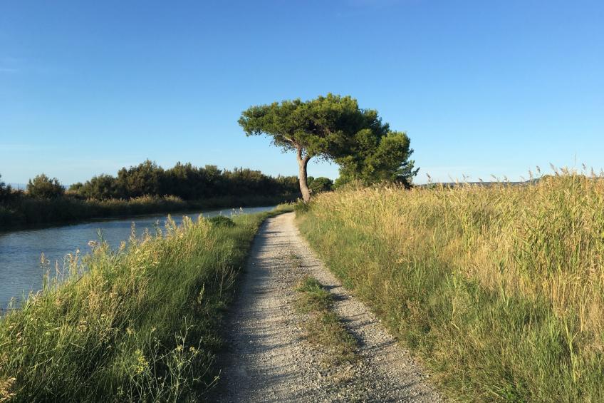 Residence du Grazel - foto 24